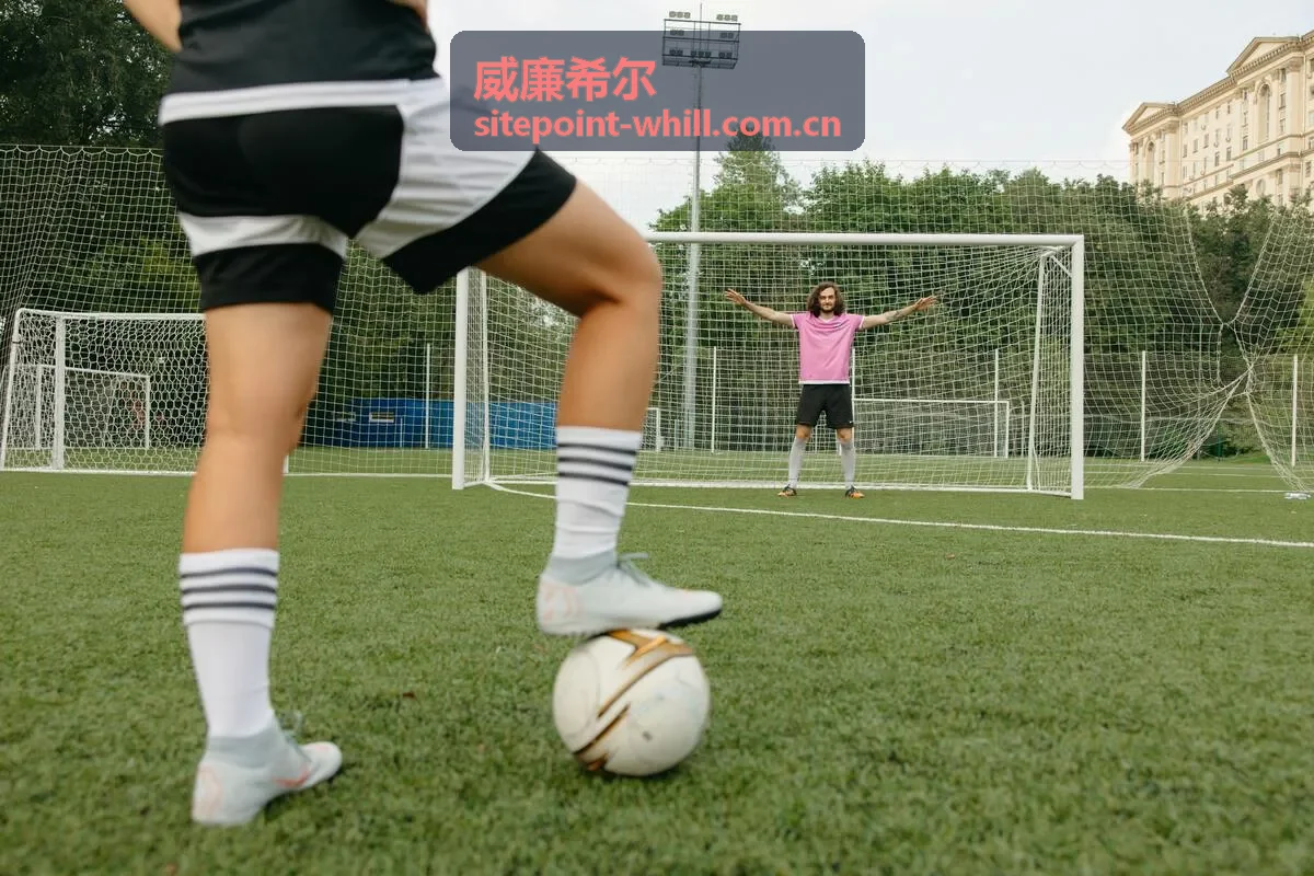 威廉希尔年度活动快剪封面